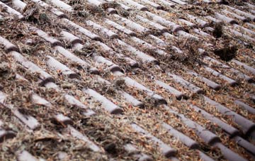 Whitworth roof cleaning companies