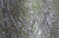 Whitworth fibreglass roof work